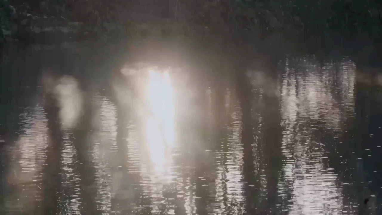 Sunlight breaking on the surface of the river